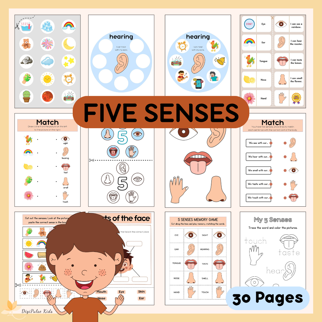 My 5 Senses (30 pages)